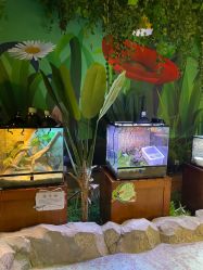 -酷嗒动物文化乐园(cutezoo西溪乐天城店)