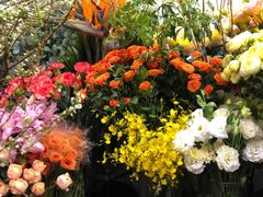 -靳晖金百合花艺GOLDENLILY(南院门店)