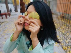 -三里屯东五街银杏大道
