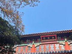 -灵谷景区