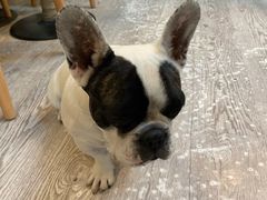 -VOYAGE COFFEE(北锣鼓巷店)