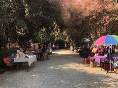 -Bamboo Saturday Market(Nana Jungle)