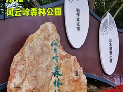 -风云岭森林公园