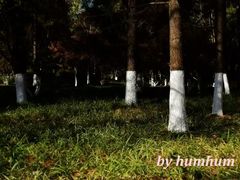-范蠡湖公园