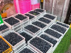 -南坛综合农贸市场