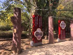 -滴水岩森林公园