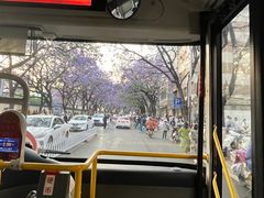 -云南师范大学(一二一西南联大校区)