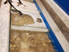 -火锅岛潮牌自助餐厅(天津天佑城店)