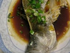 -天鹅到家·保姆月嫂育儿嫂(朝阳店)