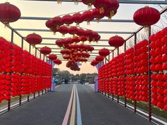 -同里国家湿地公园