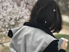 -秀丽东方