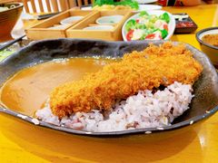 -胜博殿日式炸猪排(西红门店)