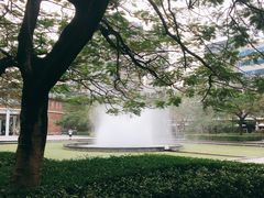 -缘生态云南菜·野生菌庭院餐厅(华侨城店)