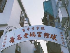 -老妈宫粽球