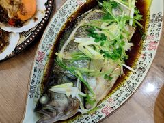 江鲈鱼-塔湾北行农贸市场