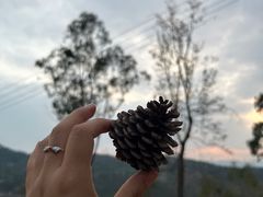 -巍山古城