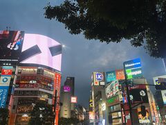 -涩谷区