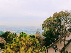 -灵岩山风景区