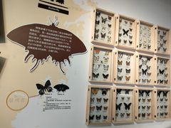 -浙江自然博物院(杭州馆)