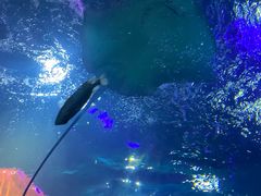 -沈阳海洋探索中心