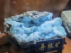 -青岛德国总督楼旧址博物馆