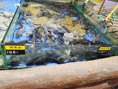 -山东八大碗山东老字号