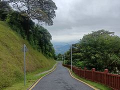 -黄埔油麻山森林公园
