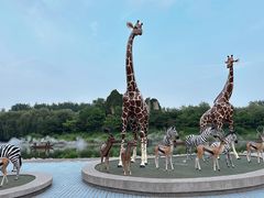 -北京野生动物园