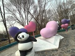 -秦皇岛野生动物园