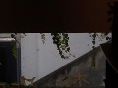 -梵几(东信·和创园店)