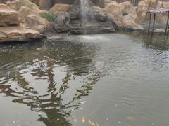 -辛玛王国游乐园