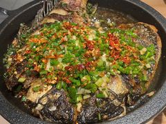 铁板鲫鱼-聚鑫朋酸菜肥肠(九龙仓店)