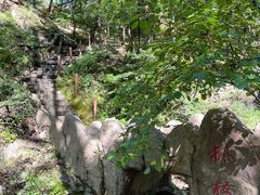 -天女山森林公园