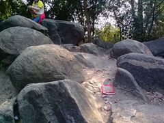 景点-火炉山森林公园