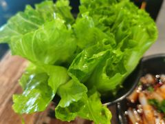 生菜-愿者上钩(龙华华润万家店)