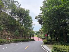 -广州市流溪河国家森林公园