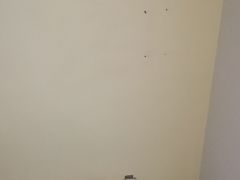 -7天酒店·北京上地清河地铁站店