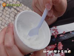 -洪馨椰子