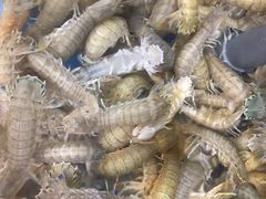 -宾朋海鲜特色美食餐厅·纯手工鲅鱼水饺(兴海路店)