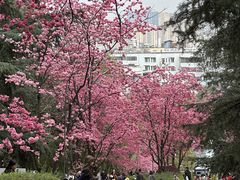 -昆明动物园