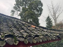 -峨眉山报国寺