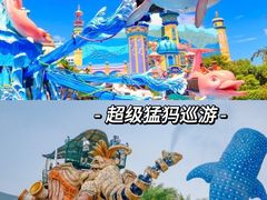-珠海长隆海洋王国