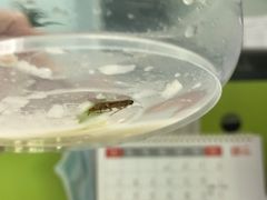 -燊意布拉肠云吞面(中山四路店)