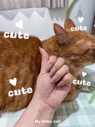 -今玥美甲美睫