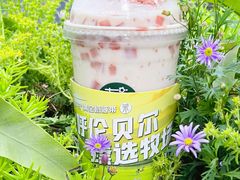 -茉酸奶(春熙路店)