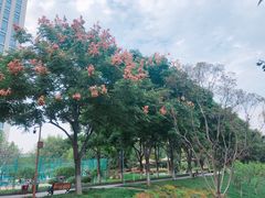 -后襄河公园