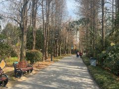 -狼山风景名胜区