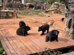 -海南热带野生动植物园