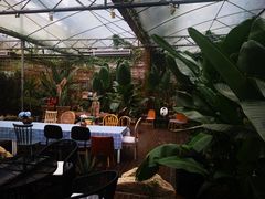 -桉树林A coffee 森林餐厅(三圣乡店)