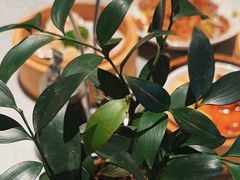 -晋江荣誉国际酒店·港誉茶餐厅